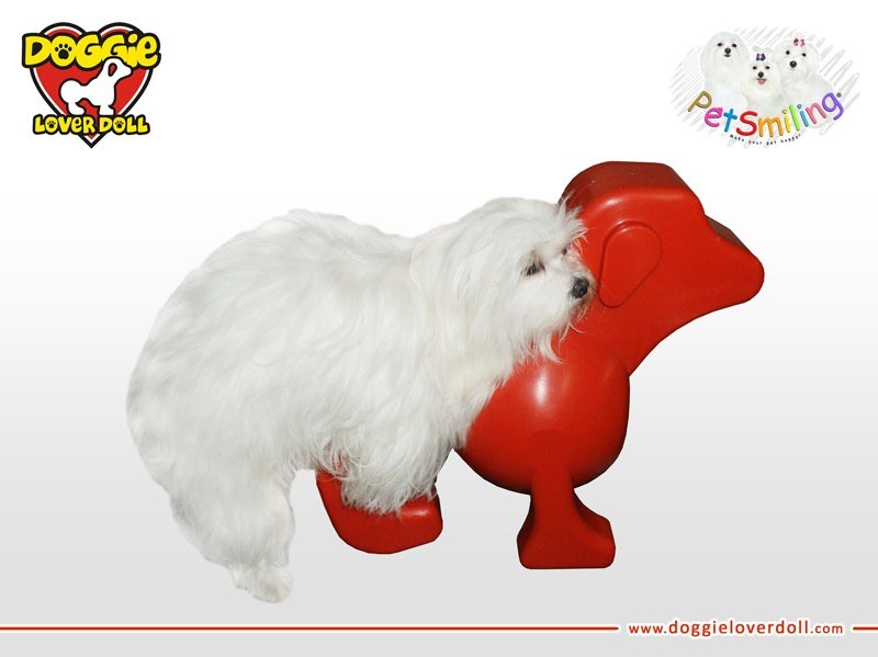 Самотык Собаки