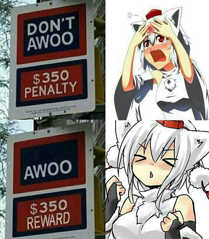 Back to the content 'Awoo'. 