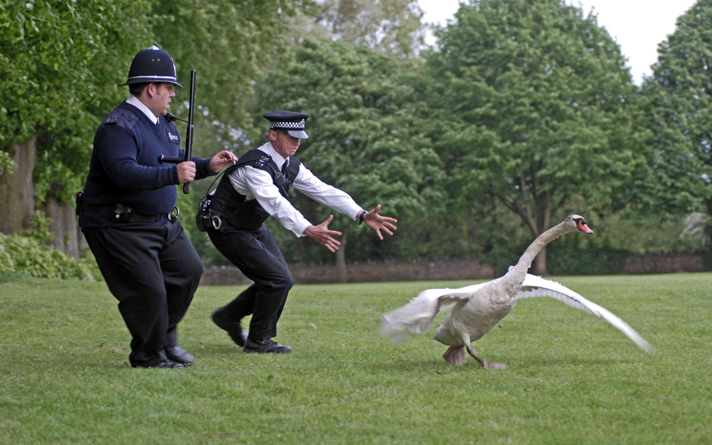 https://hg1.funnyjunk.com/comments/Anonymous+rolls+283+_e5f0fbb006560168c71f30ab31039b2f.jpg