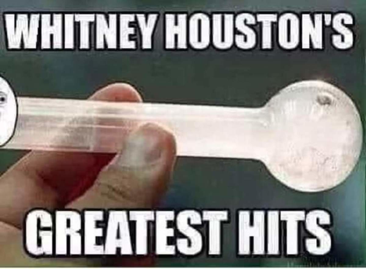 Whitney houston dick meme