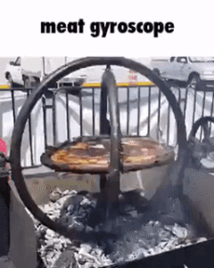 Meat Gyroscope
