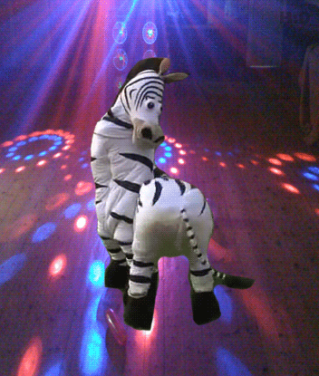 Disco+dancing+zebra+disco+dancing+zebra_008128_4083614.gif