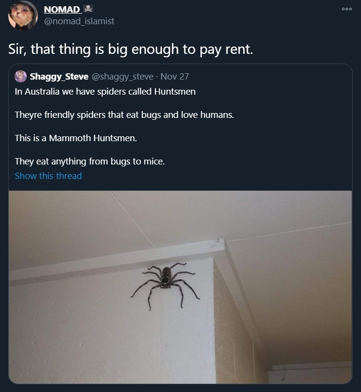 Beeg+spider_c84c79_8109729.jpg
