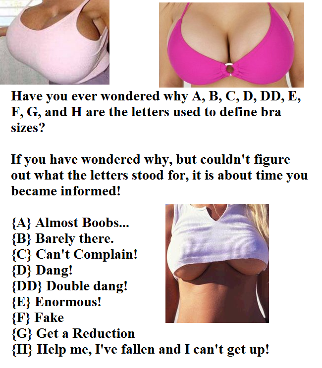 The meaning of bra sizes