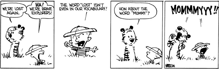 Calvin And Hobbes