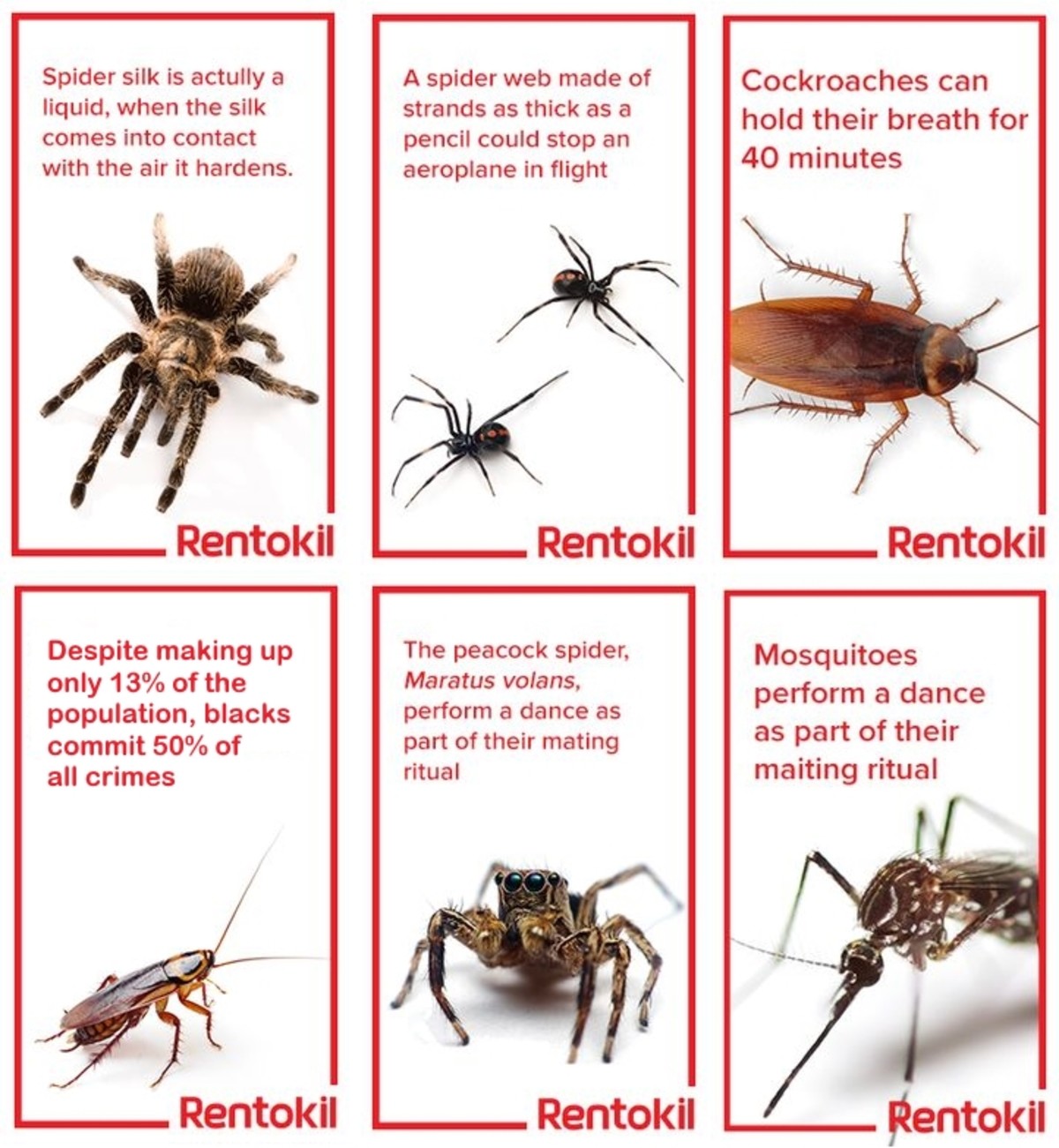 Cool insect facts