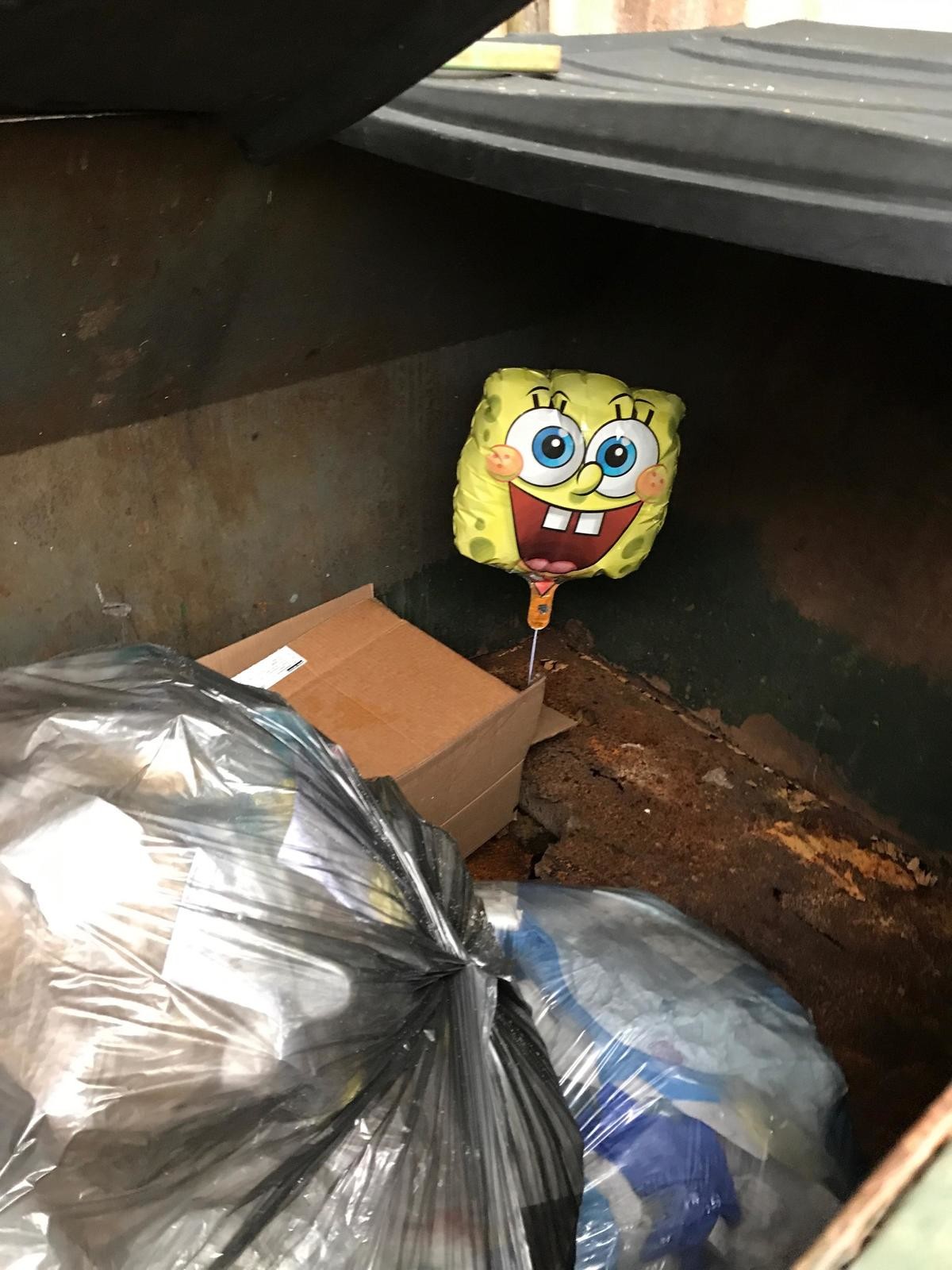 Cursed Spongebob Images Sus