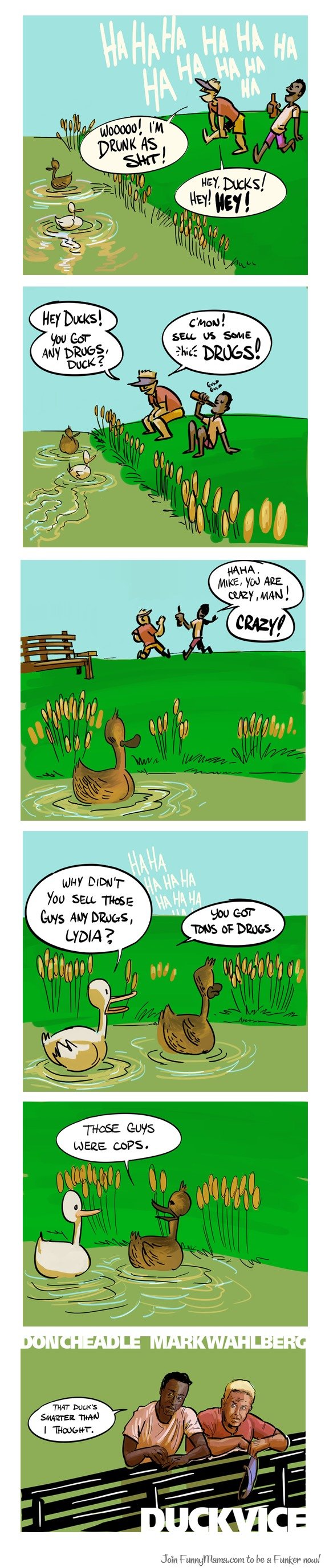Duck drugs