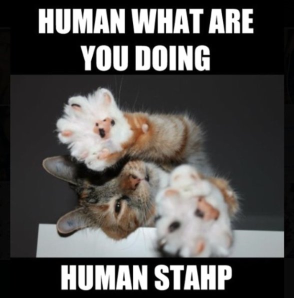 Human, stahp