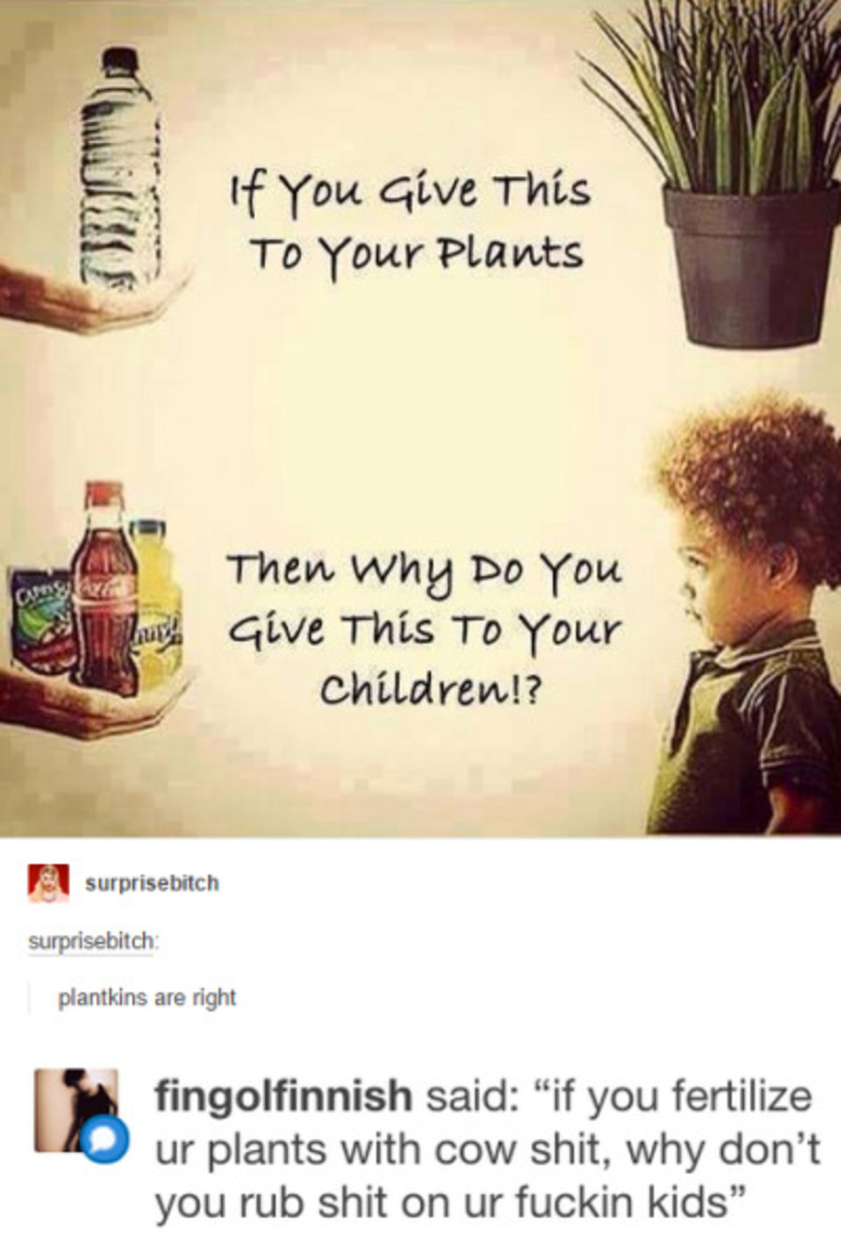 Plants