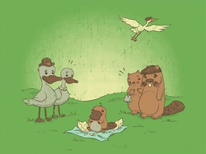 psycho platypus pokemon