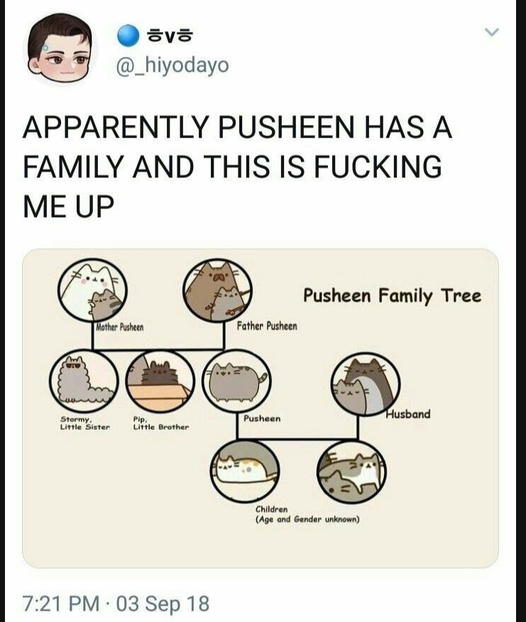 pusheen family gathering