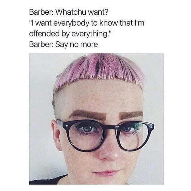 Sjw+hair_df9c4d_5843518.jpg