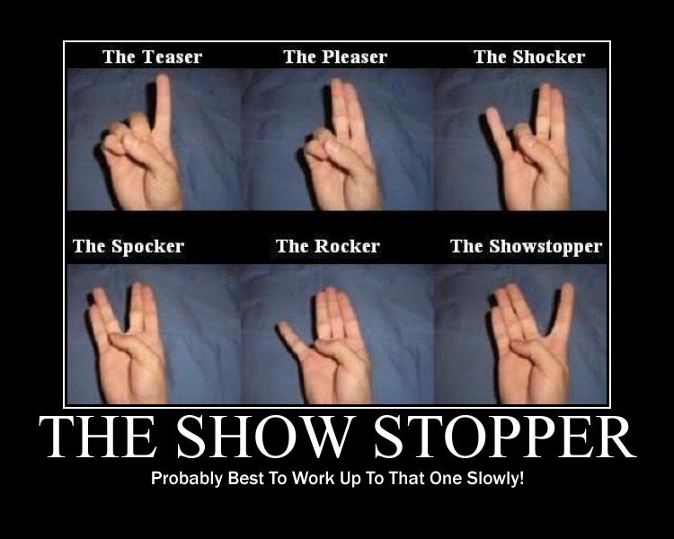 the-show-stopper