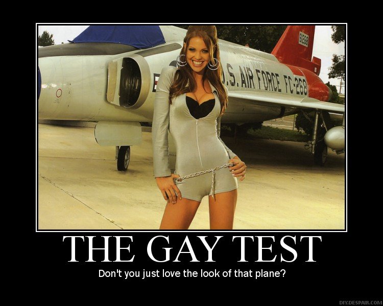 The Gay Test The Gay Test