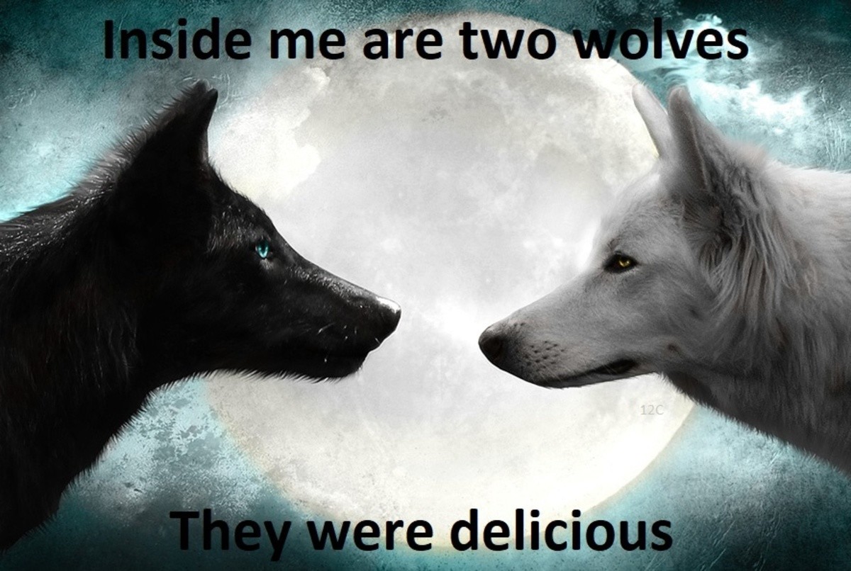 Two wolves