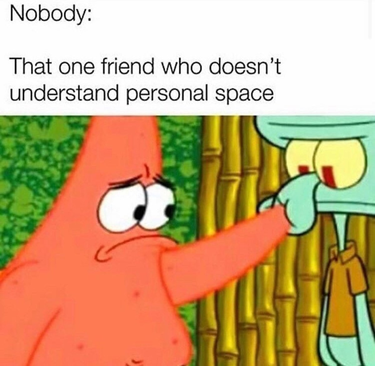 You got the touch