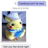 I Wanna Be A Cowboy Baby